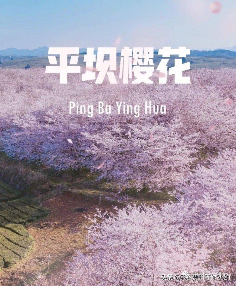 【耿佩物理】2021届高一物理 耿佩高一物理系统班-2020年秋季班